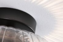 Lampa sufitowa łazienkowa RUYA E27 max.60W IP44 230V czarny matowy / szkło - 7